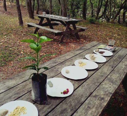 Coffee tour